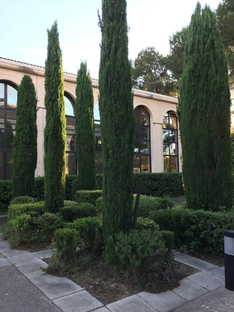 Jardin de cyprès devant le bâtiment à arcades, sous le ciel bleu