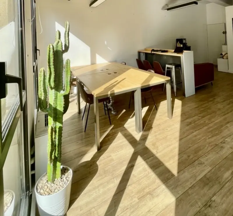 L’open space au soleil, grande table en bois et cactus devant la baie vitrée