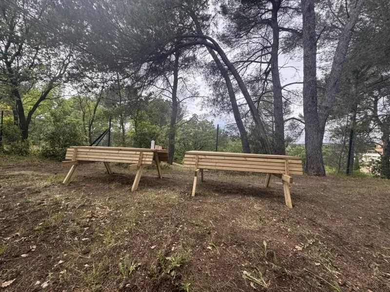 Deux tables de pique-nique en bois sous les pins